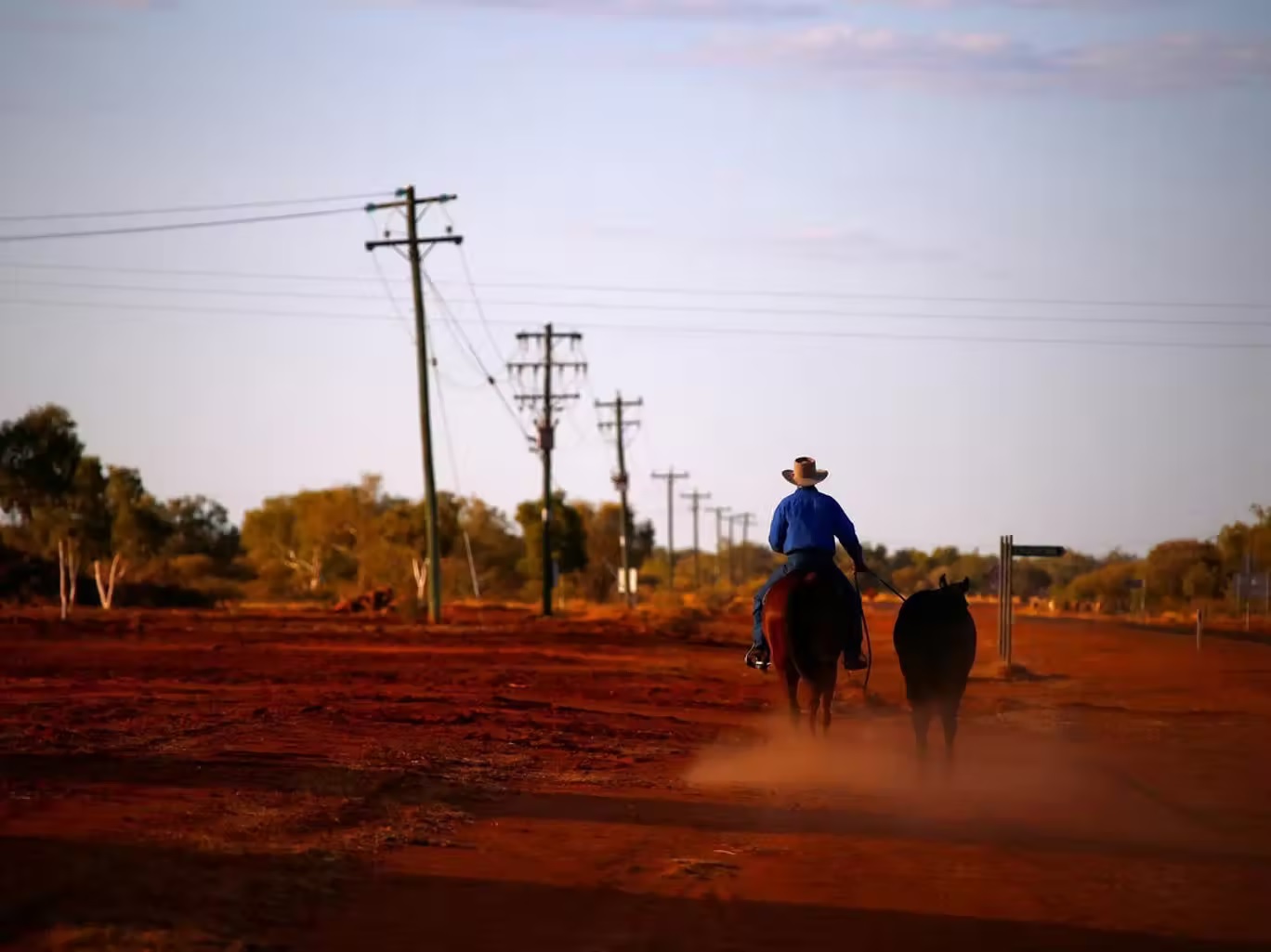 على عكس أبقار المملكة المتحدة، تربت الماشية في أستراليا على تحمل ظروف الجفاف وفق جورج برانديس (رويترز/ دايفيد غراي)