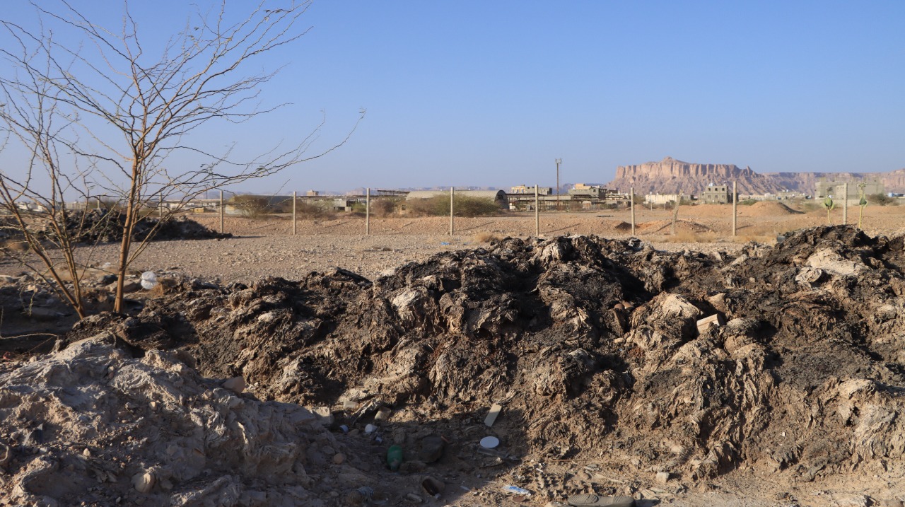 WhatsApp Image 2022-05-30 at 4.34.19 PM (1).jpeg