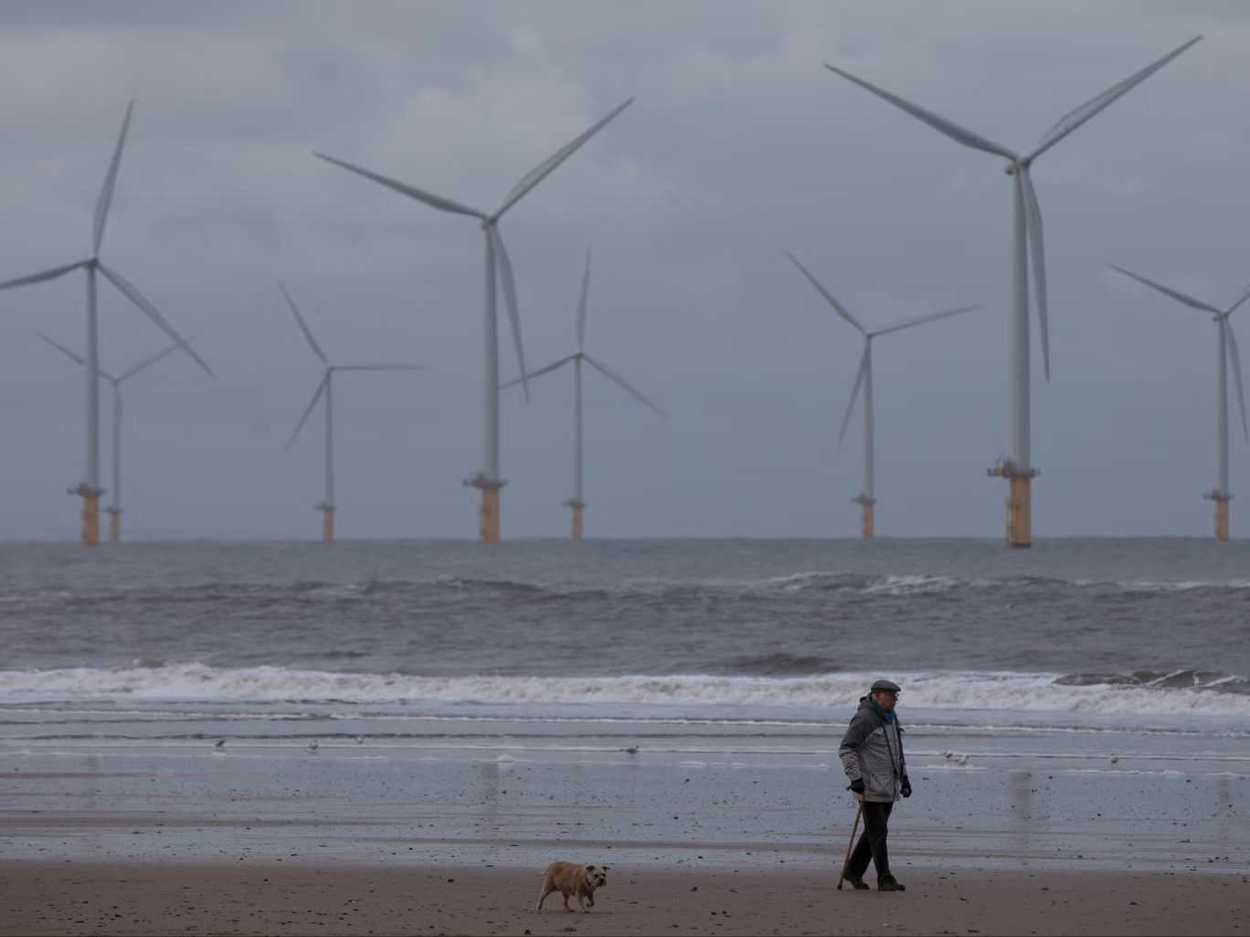 رجل يسير على الشاطئ أمام مزرعة الرياح "تيسايد" في بحر الشمال قبالة "ريدكار" (غيتي)