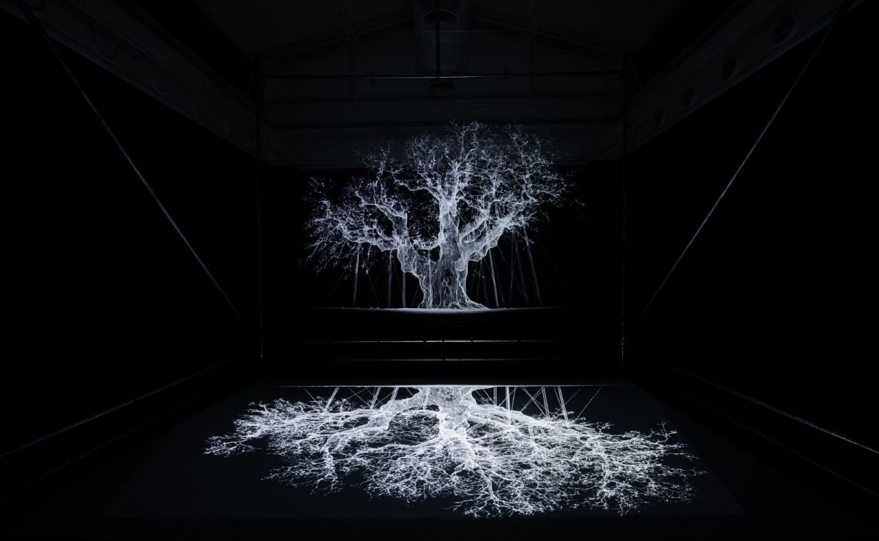 thumbnail_Mat Collishaw - Albion.jpg