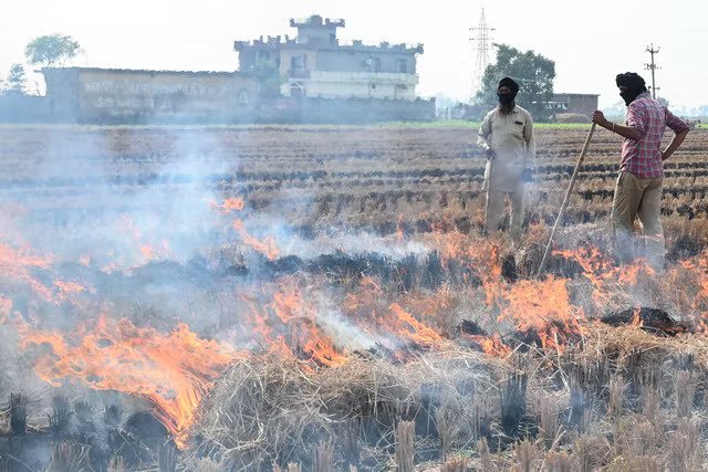 مزارعون يحرقون المخلفات الزراعية بعد حصاد في حقل أرز في ضواحي أمريتسار يوم الأربعاء (أ ف ب/غيتي)
