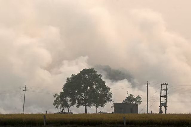 مزارع يقود جراراً وخلفه مخلفات زراعية من القش تحترق بعد أن جنى حصاد حقل الأرز في ضواحي جالاندهار (أ ف ب/غيتي)