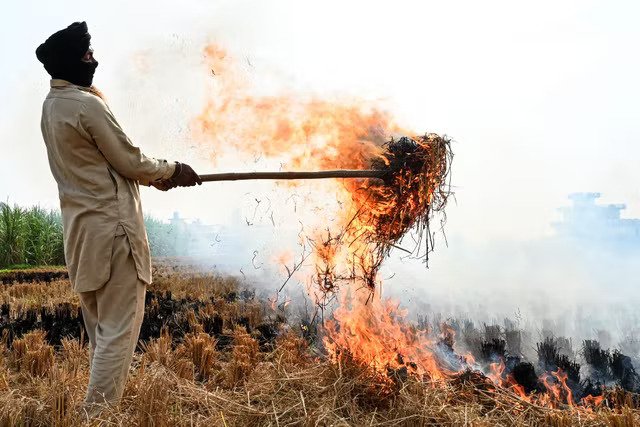 مزارع يحرق مخلفات القش بعد حصاد في حقل أرز في ضواحي أمريتسار (أ ف ب/غيتي)