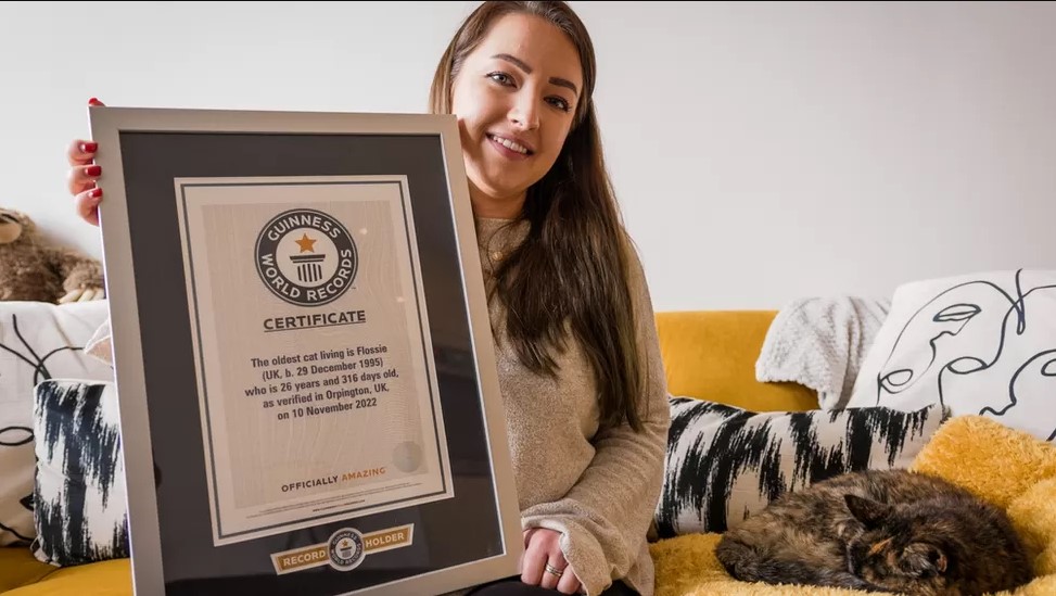 Screenshot 2022-11-24 125246.jpg