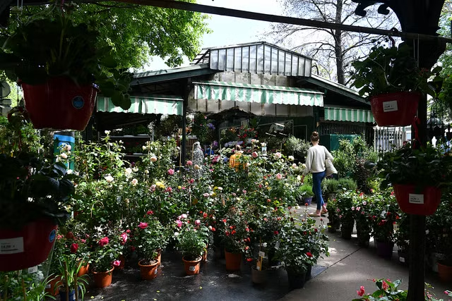 لا تنسى شراء الأزهار الندية من سوق الأزهار في "إيل دو لا سيتيه" (غيتي)