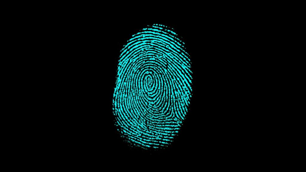 Fingerprints-22.jpg