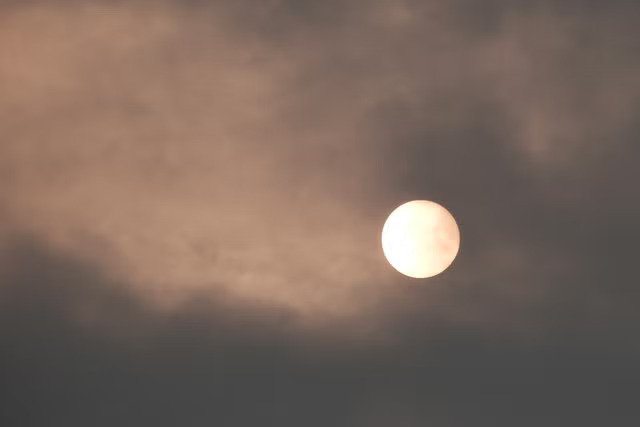 88.jpg