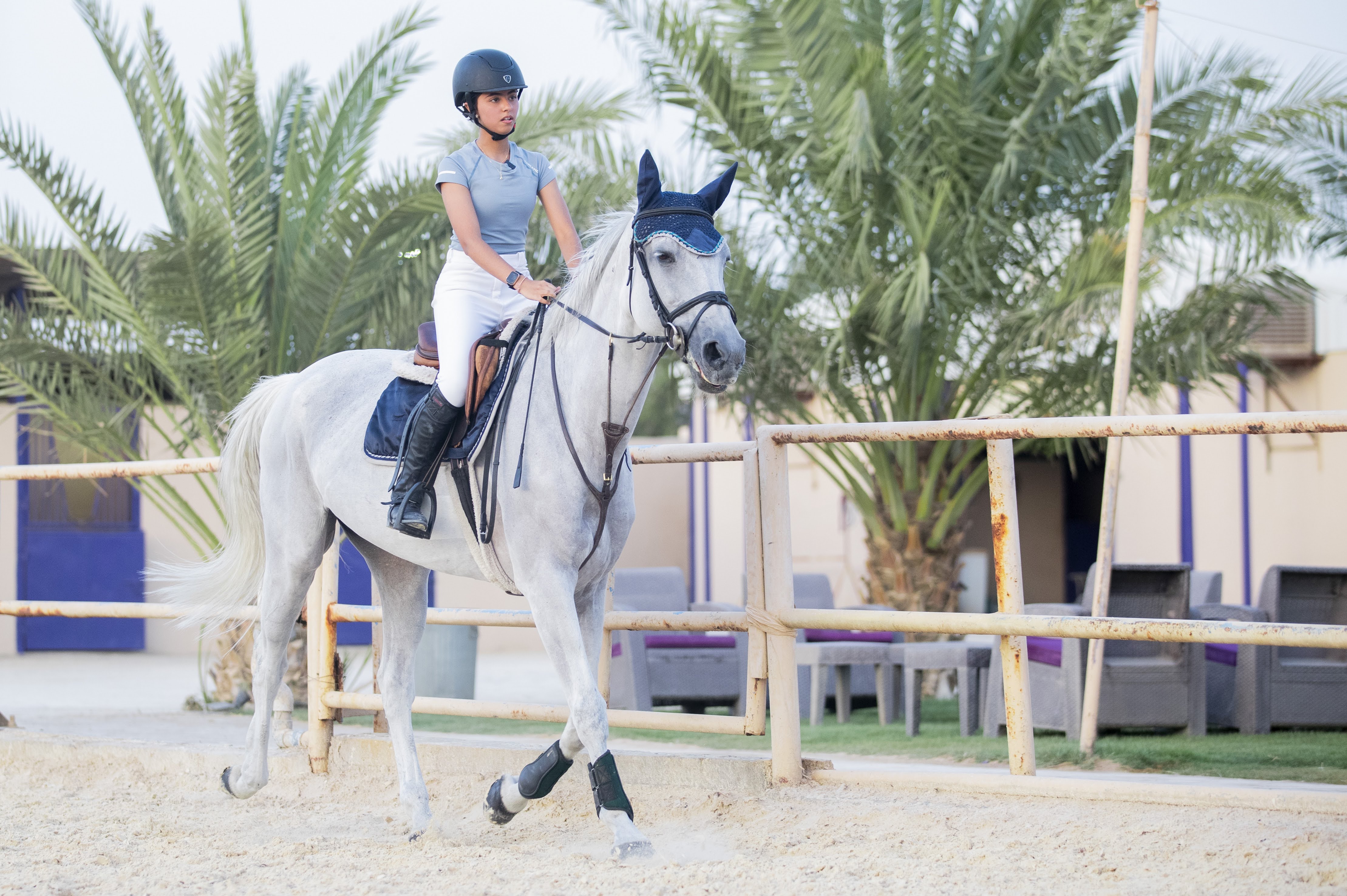انعكست تجربتي مع الخيل على الأخرين (اندبندنت عربية - يزيد السمراني)