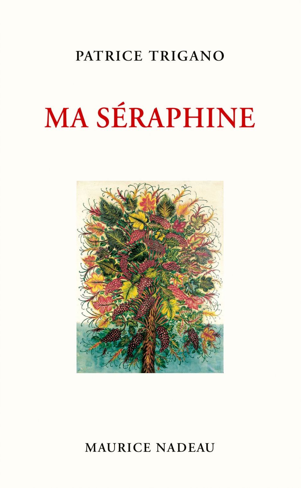 Couverture du Livre.jpeg