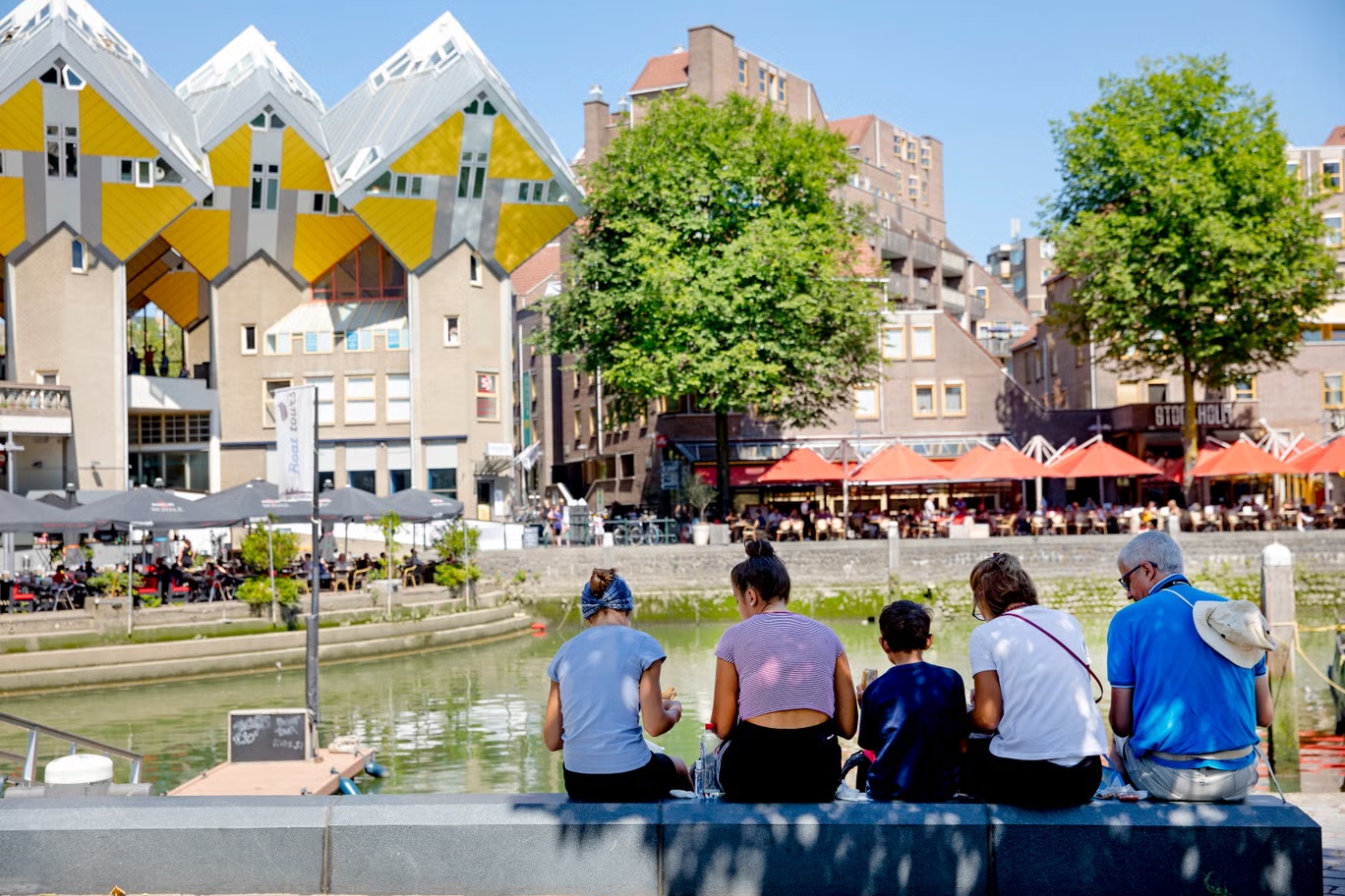 البيوت المكعبة الصفراء في روتردام تكتسب إشادة من عشاق الهندسة المعمارية (إيريس فان دين برويك)