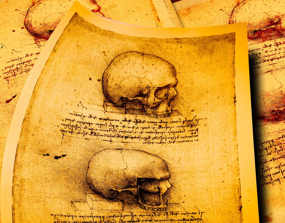 thumbnail_Dessin anatomique.jpg