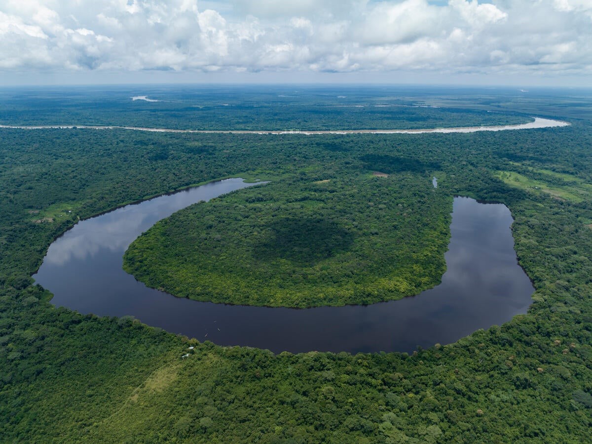 The Colombian Amazon_WWF.jpg