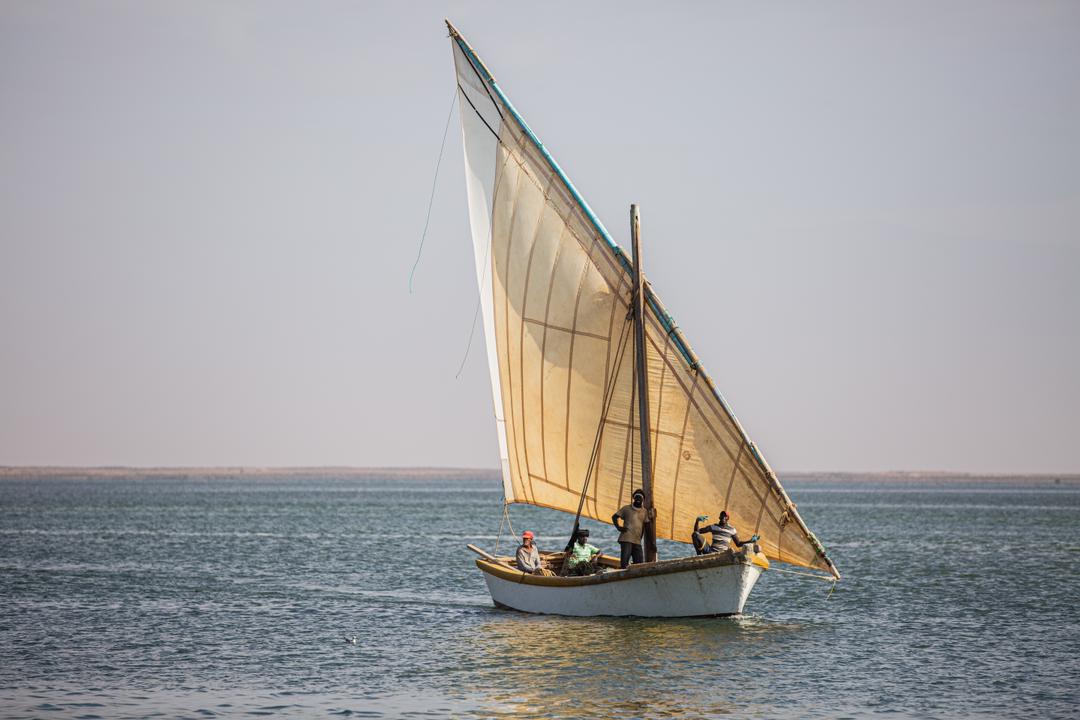 قبائل الإيمراكن في موريتانيا... حكاية حب مع المحيط والدلافين قبائل الإيمراكن في موريتانيا... حكاية حب مع المحيط والدلافين