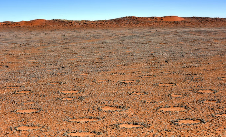 لقطة لما تسمى دوائر الجنيات في صحراء ناميب الواقعة ضمن الملاذ ناكيب نوكلوفت الوطني. وتعد من الأدلة على تسرب الهيدروجين من الأرض 