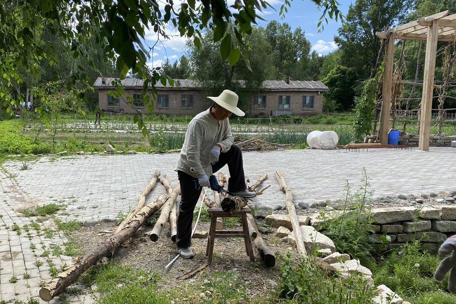 الكاتب ليو ليانغ تشنغ في قريته.jpg