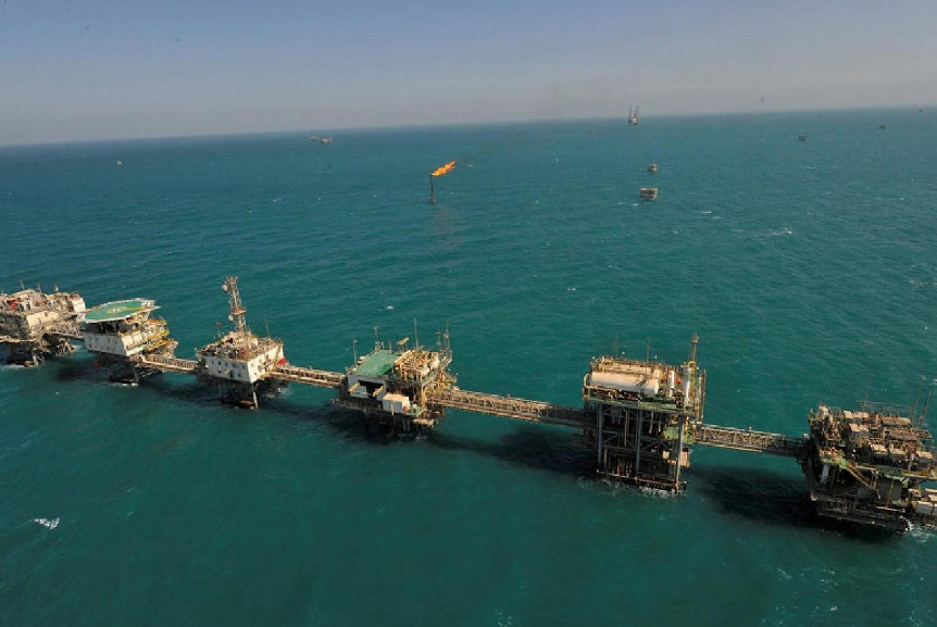 حقل الدرة.png