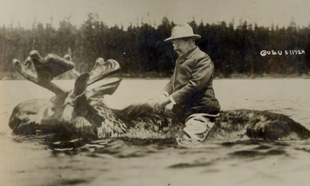 crazy-teddy-roosevelt.jpg