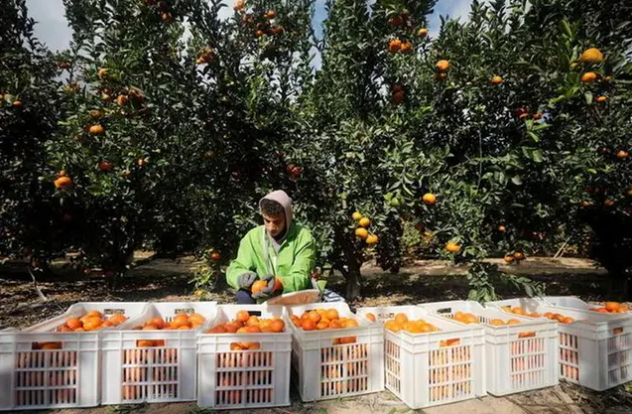 Screenshot 2024-03-23 124743.png