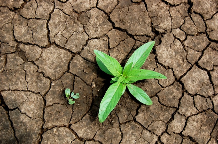 المجاعة في السودان بين إنكار السلطات والتحذيرات الأممية