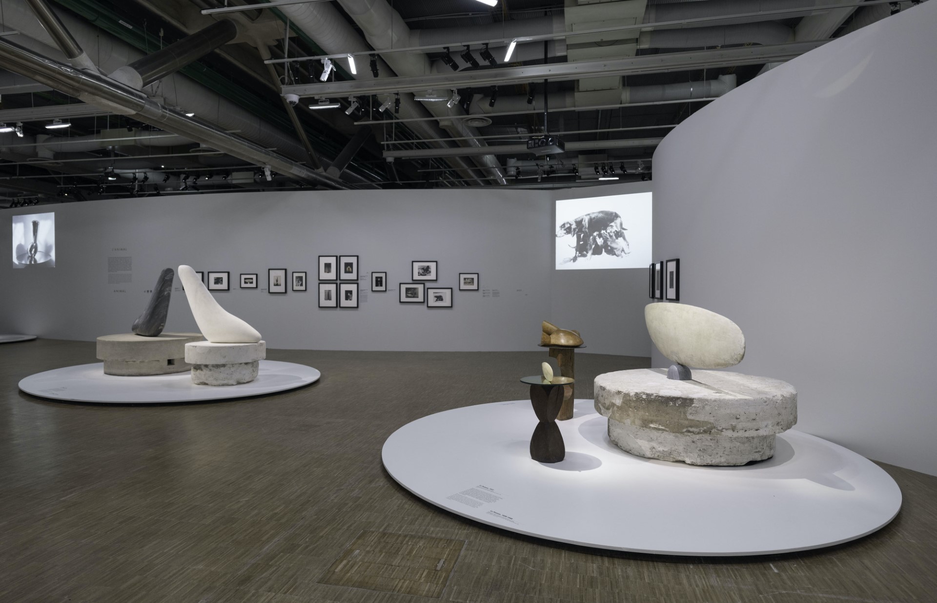 thumbnail_(c) Centre Pompidou,  Audrey Laurans__Brancusi_ presse_20240325 (11).jpg