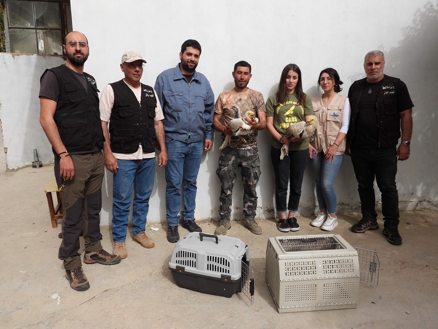 جمعية ألمانية في لبنان لمواجهة مذابح الطيور المهاجرة