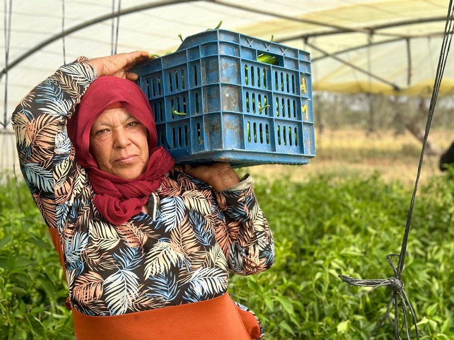 WhatsApp Image 2024-05-08 at 15.49.34.jpeg