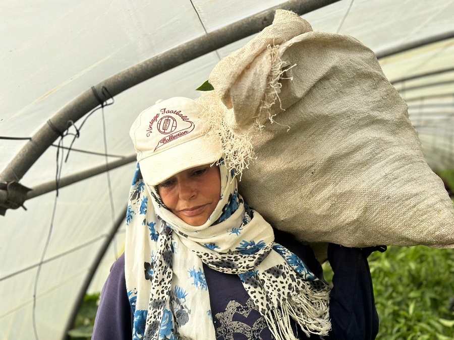 WhatsApp Image 2024-05-08 at 15.49.35.jpeg