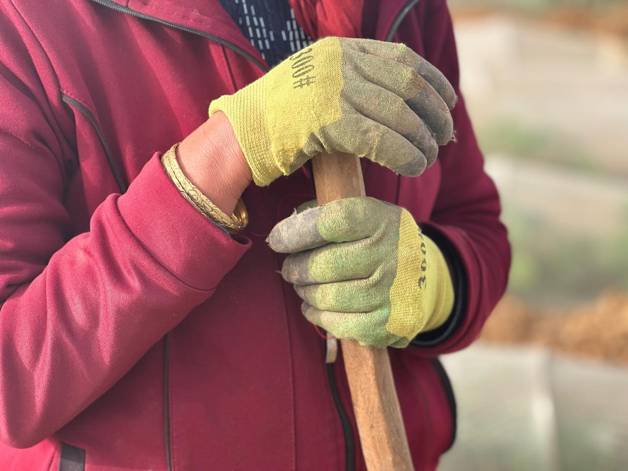 WhatsApp Image 2024-05-08 at 15.51.12(1).jpeg