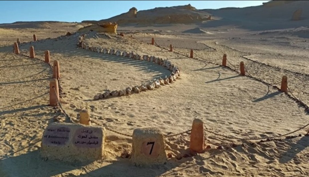 السياحة البيئية في مصر... فرص متعددة لاكتشاف الطبيعة