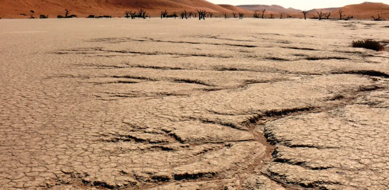 السعودية تستعين بأحدث الابتكارات لتعزيز البعد الأخضر 