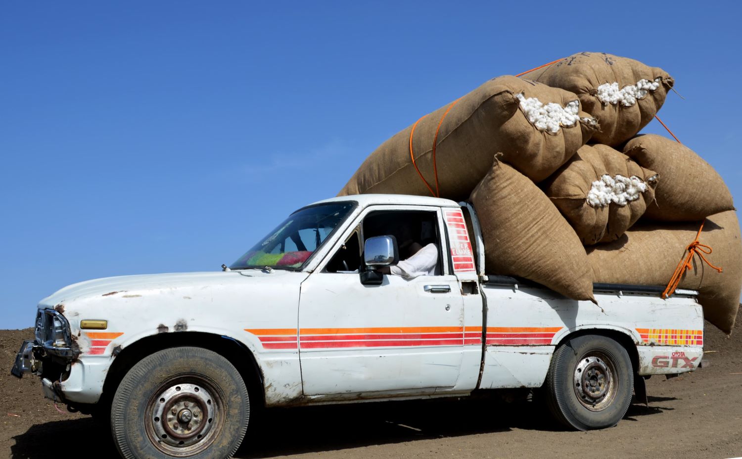 حلم السودان الزراعي... نهب وخسائر بالملايين