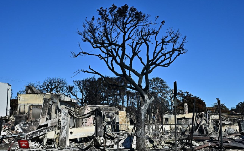 حرائق ملف.png