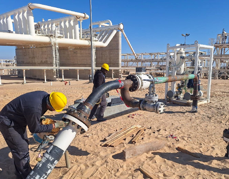 ملفات الطاقة تعيد هندسة علاقات الجزائر مع دول الجوار 