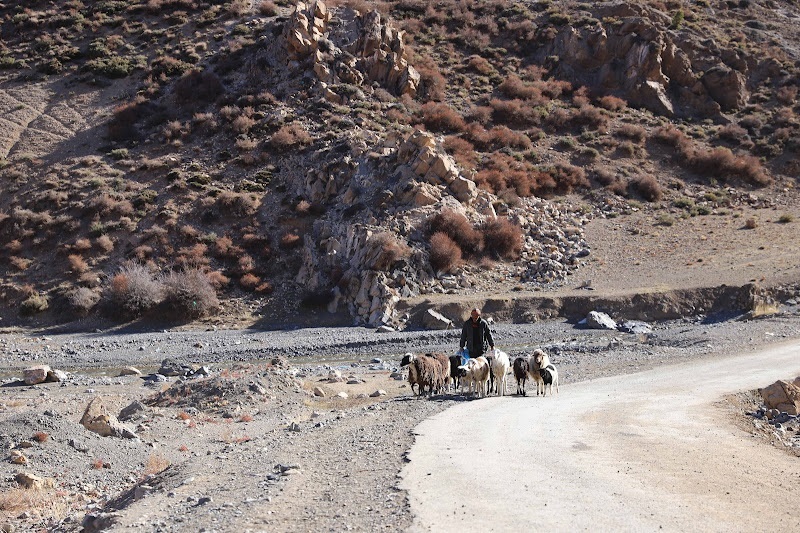 كيف يقضي البدو الرحل رمضان في صحراء المغرب؟