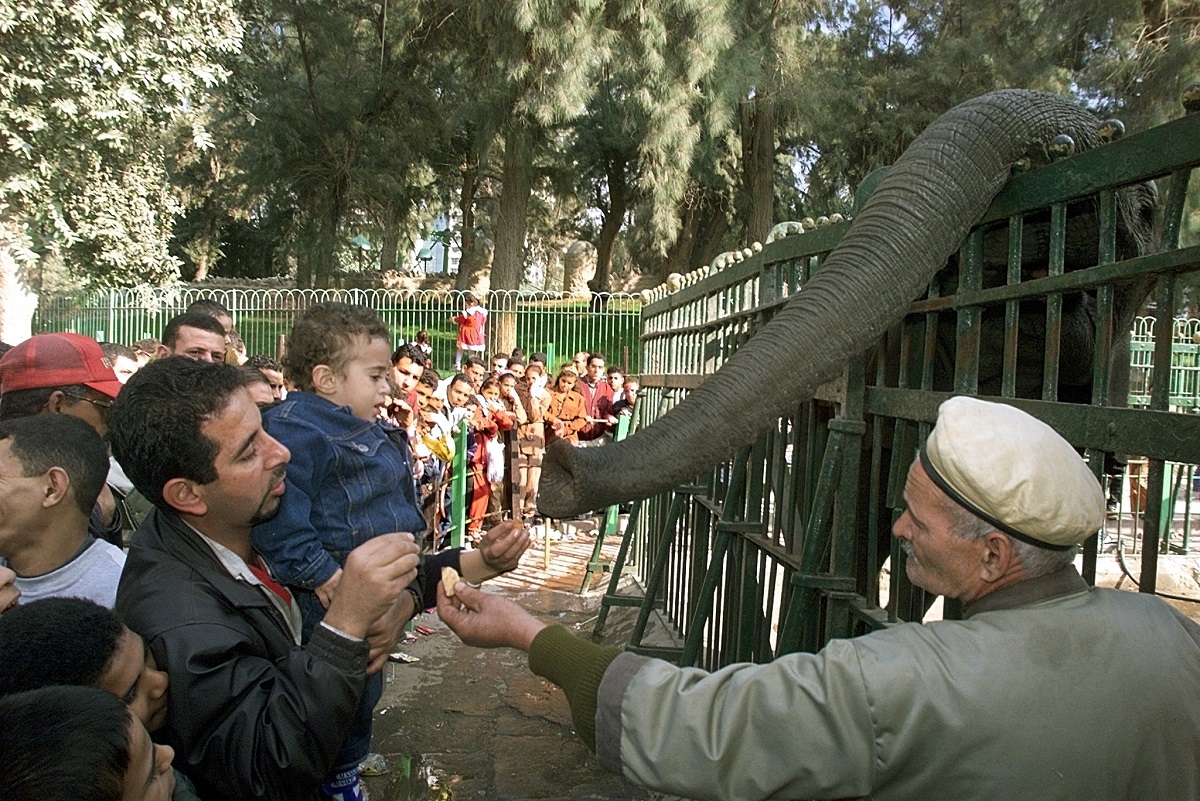 AFP__20000110__APP2000010866556__v1__HighRes__EgyptEidZoo.jpg