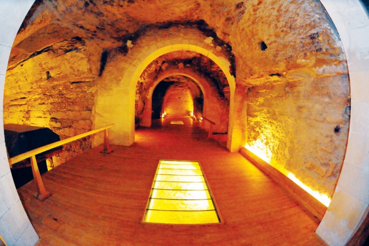 شركة المقاولون العرب.jpg