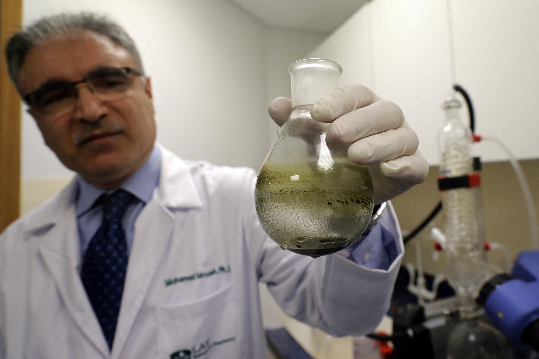 عام 2020 أقر مجلس النواب القانون الرامي لترخيص لزراعة القنب للاستخدام الطبي والصناعي (ا ف ب)