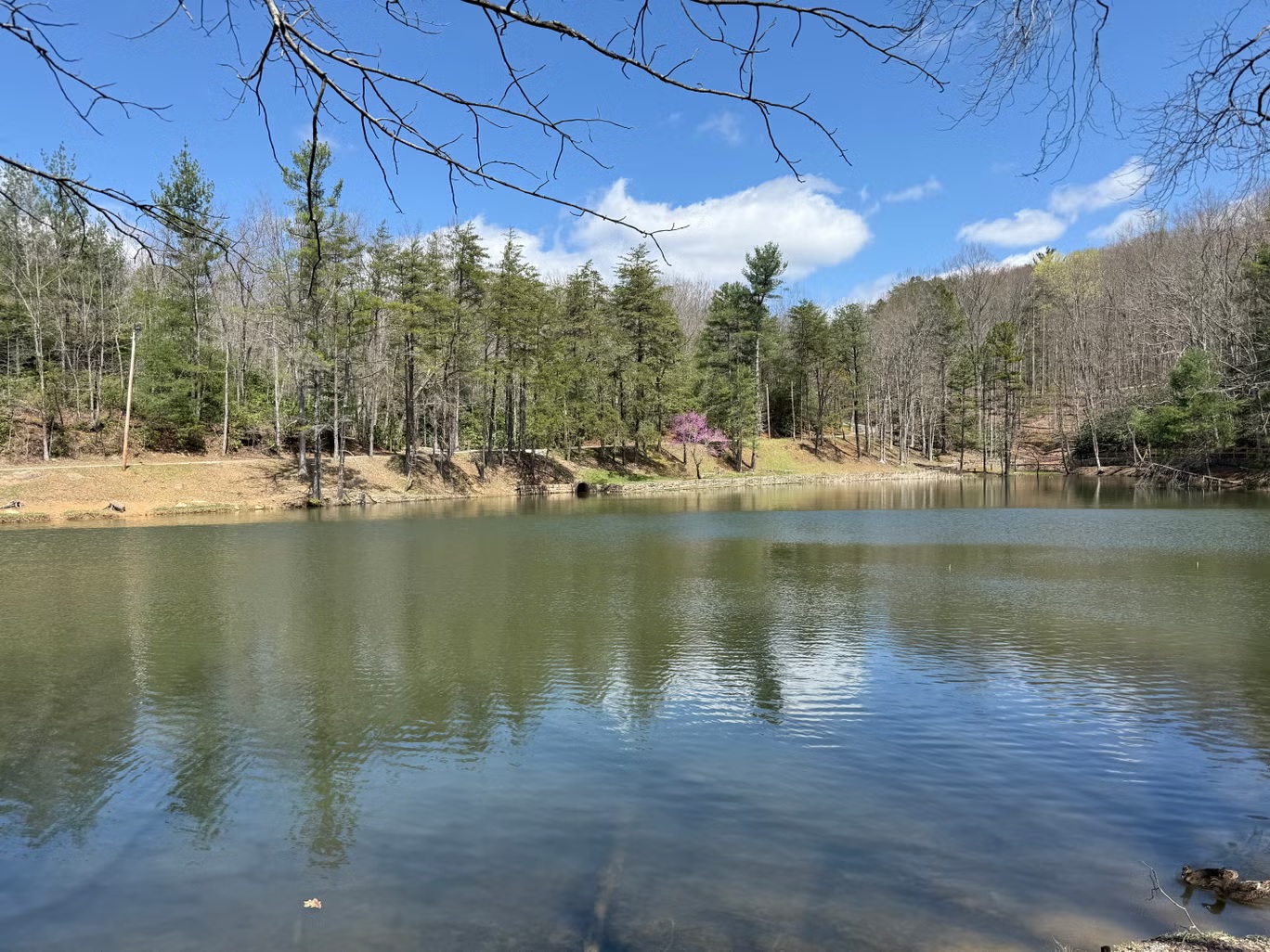 السكينة في منتزه كينغدوم كوم الوطني (آنابيل غروسمان/اندبندنت)
