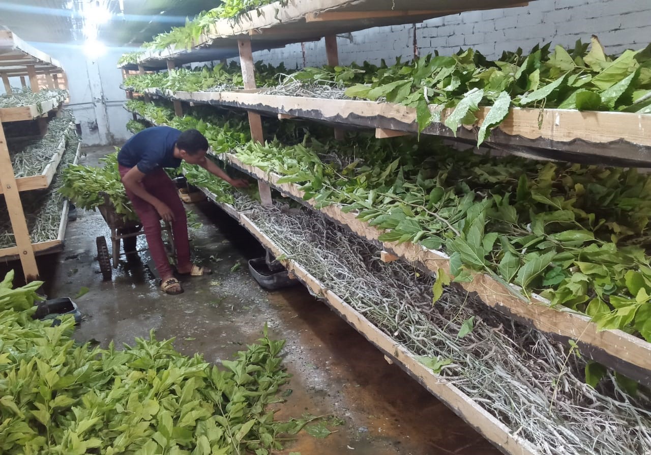 WhatsApp Image 2025-07-28 at 8.48.08 PM.jpeg