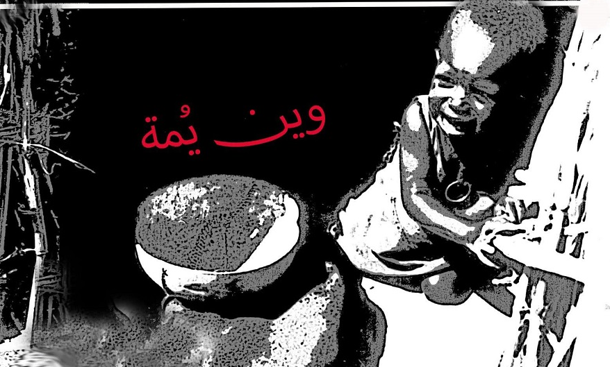 فاشر 4.png