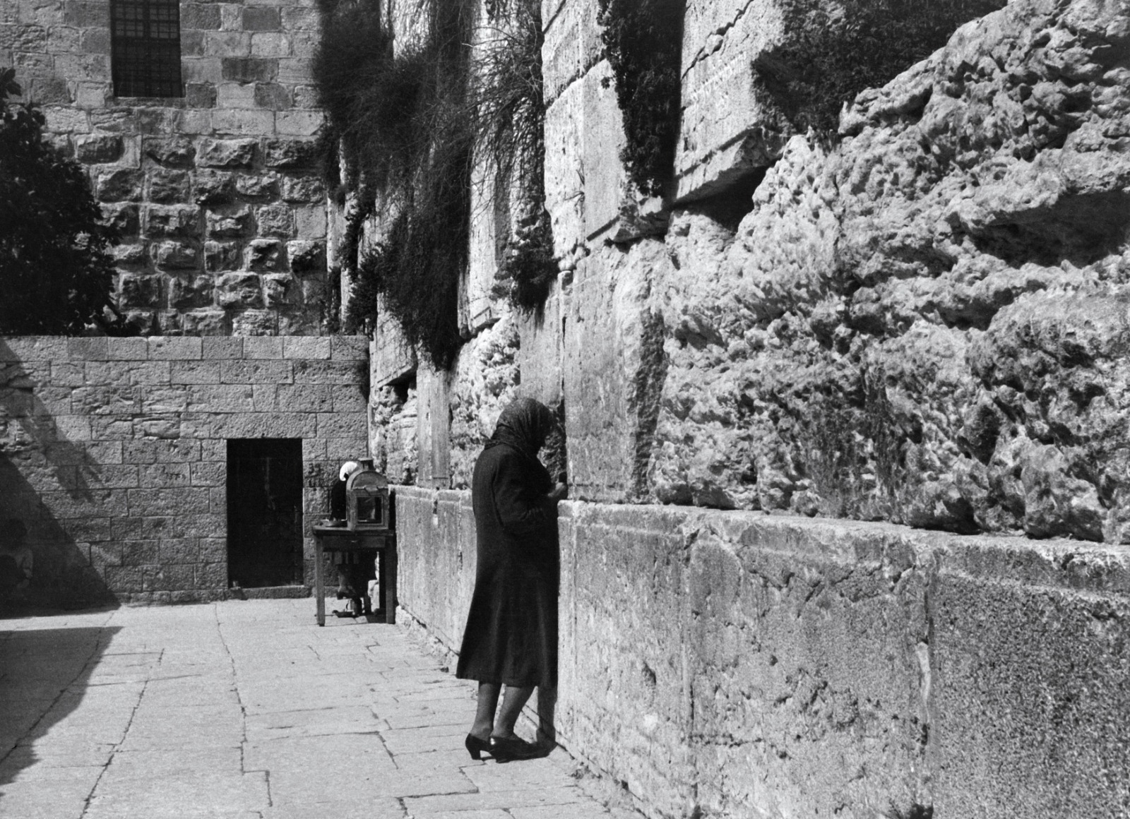 WhatsApp Image 2025-09-08 at 13.31.47.jpeg