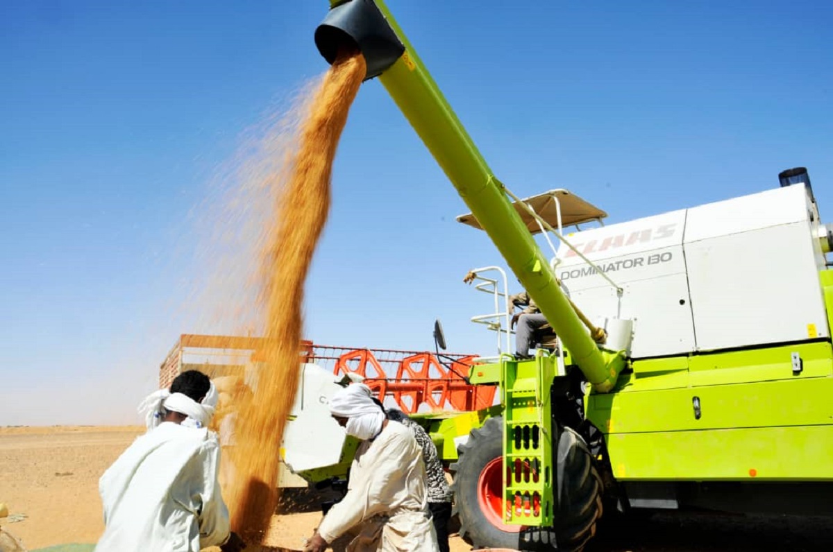 ديون السودان تطوق الزراعة والمجتمعات الريفية