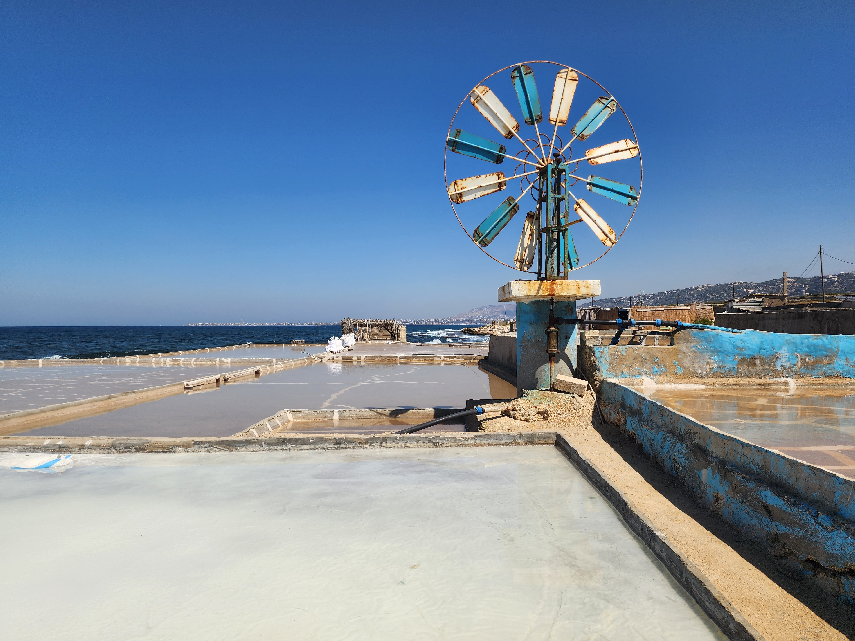  ذهب لبنان الأبيض ... ملاحات تقاوم الاندثار