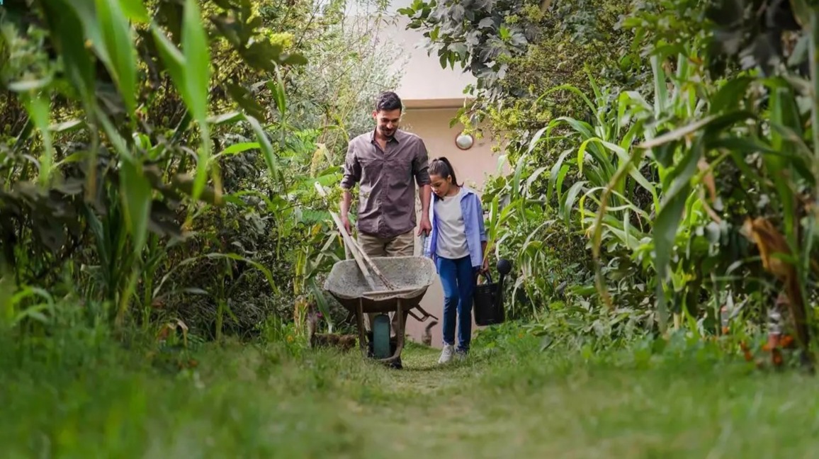 السعودية تواجه زحف الرمال بساتر تكنولوجي أخضر 