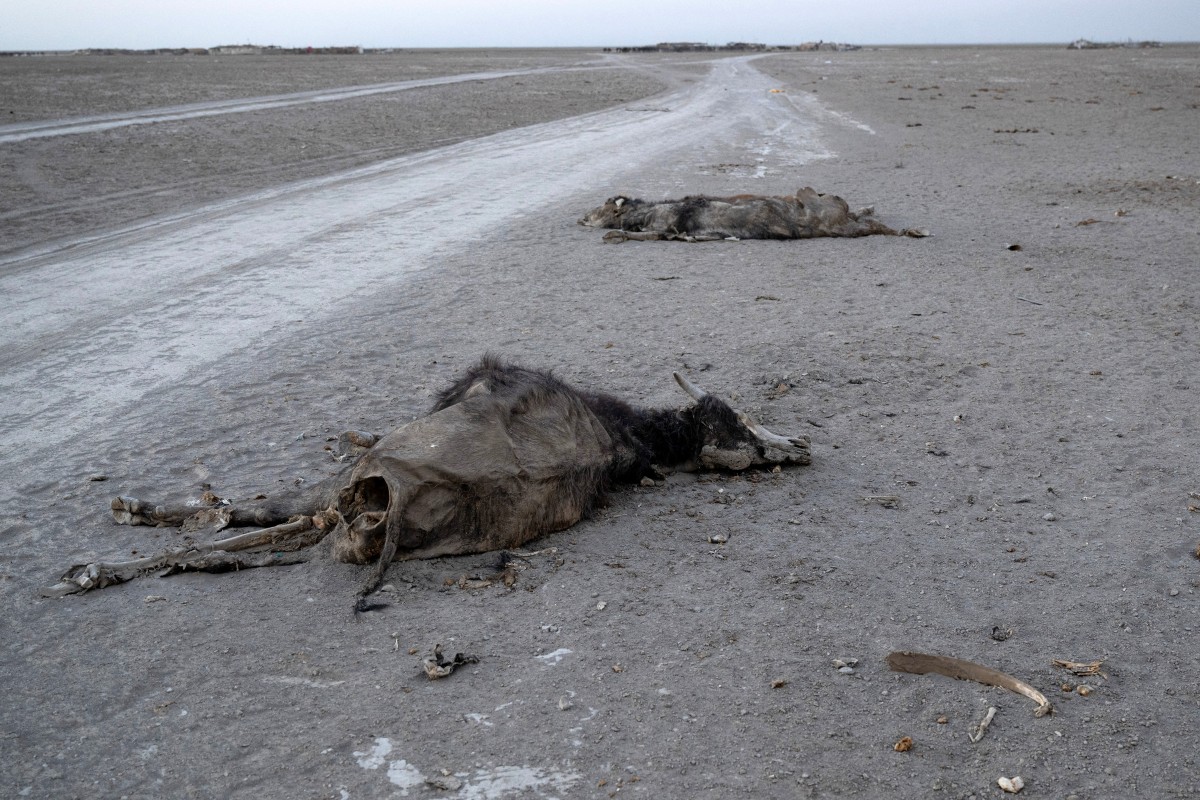 AFP__20250913__74EJ9HP__v13__MidRes__IraqEnvironmentPollutionWaterDroughtClimate.jpg