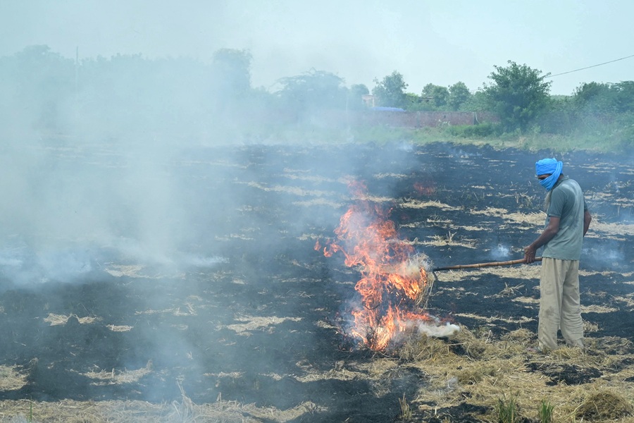 AFP__20250916__74NP3TJ__v1__HighRes__IndiaAgriculturePollution.jpg
