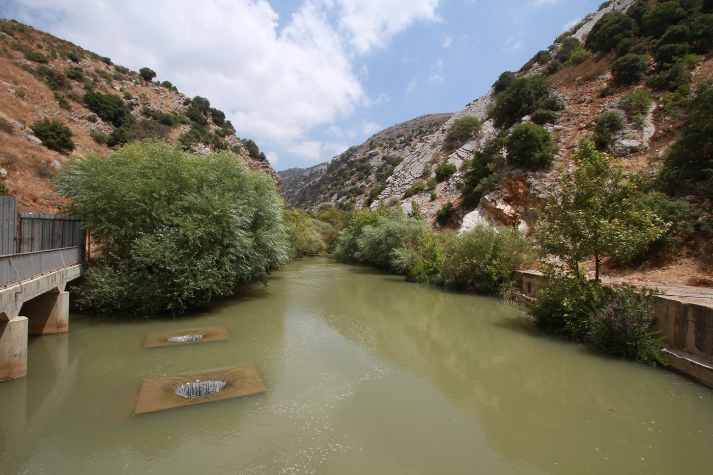 Taybeh 2016_3533.jpg