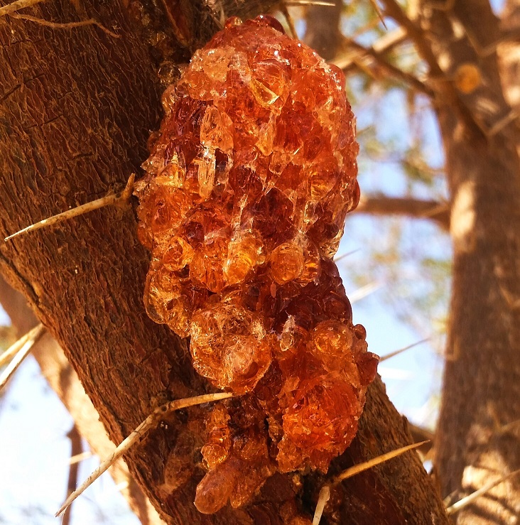 وسائل تواصل 3.jpg