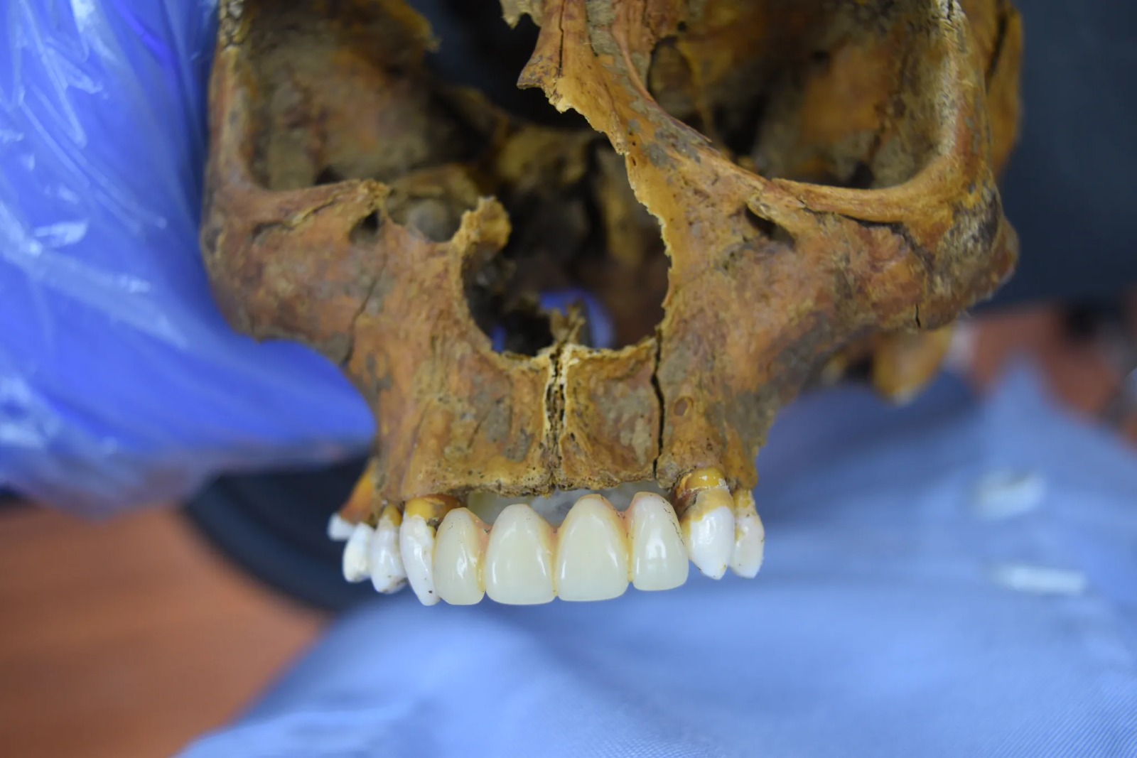 WhatsApp Image 2025-12-04 at 3.48.36 PM.jpeg