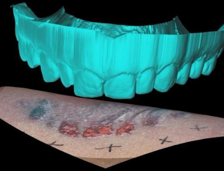 WhatsApp Image 2025-12-04 at 3.58.31 PM.jpeg